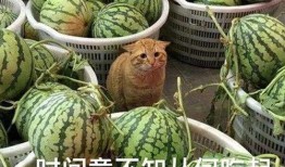 琼海吃瓜爆料视频